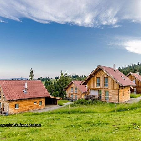 Beautiful Holiday Home In Weinebene With Sauna Posch Alpe 외부 사진