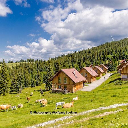 Beautiful Holiday Home In Weinebene With Sauna Posch Alpe 외부 사진