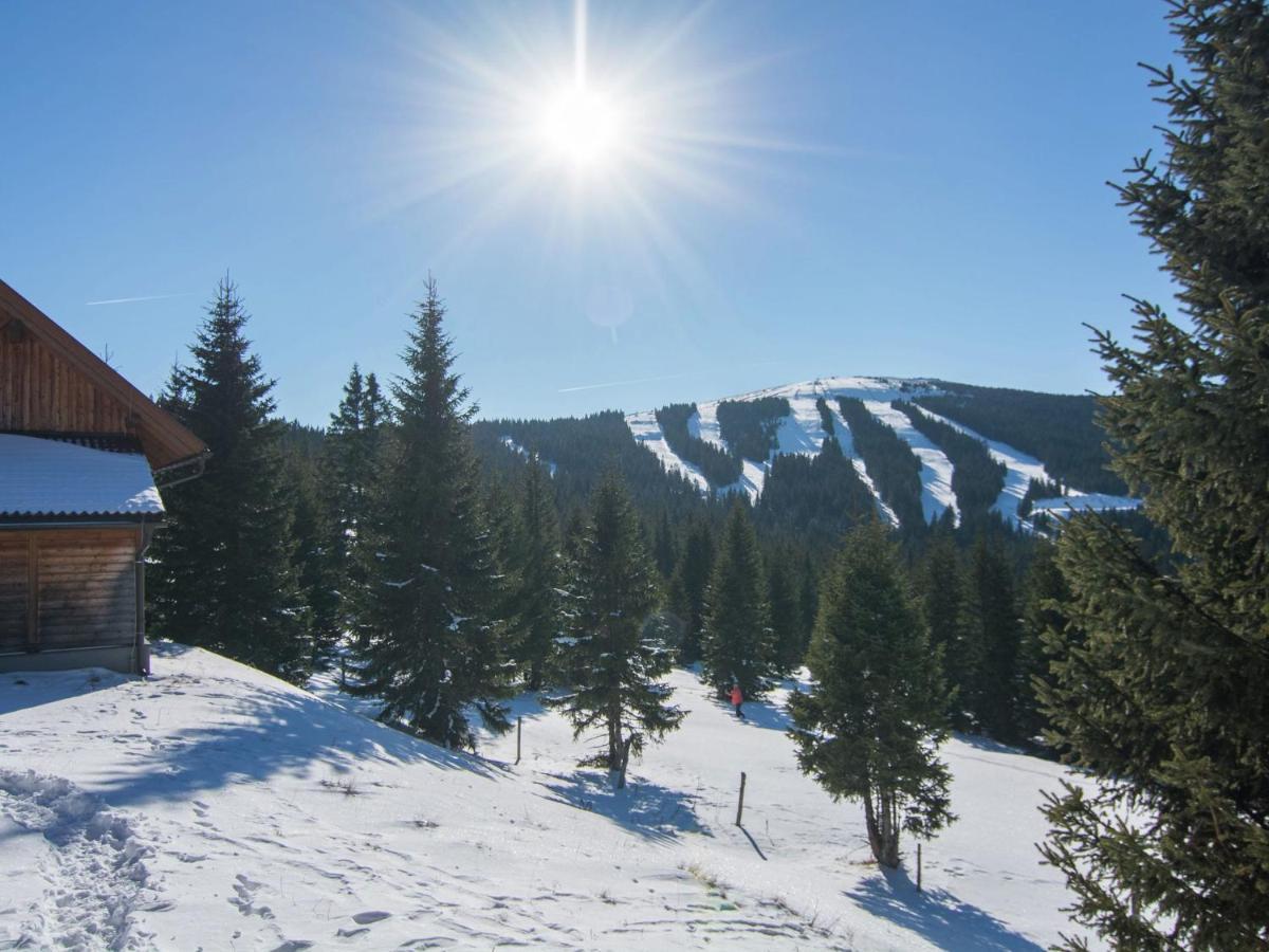Beautiful Holiday Home In Weinebene With Sauna Posch Alpe 외부 사진
