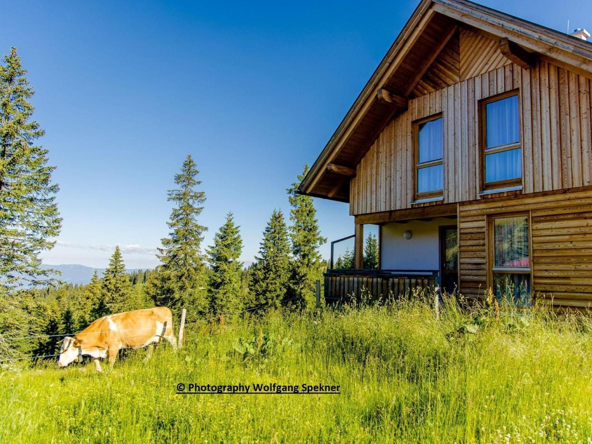 Beautiful Holiday Home In Weinebene With Sauna Posch Alpe 외부 사진